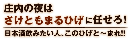 庄内の夜は