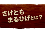 さけともまるひげ とは？